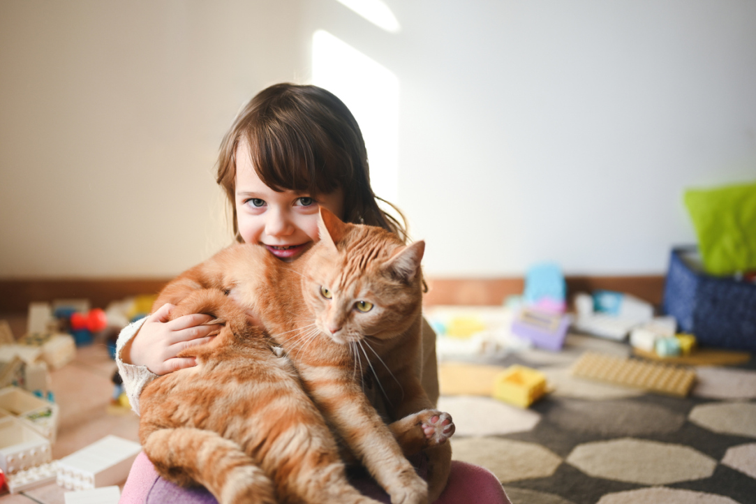 Psychologists from HSE University Discovered How Love for Animals Affects Relationships with People